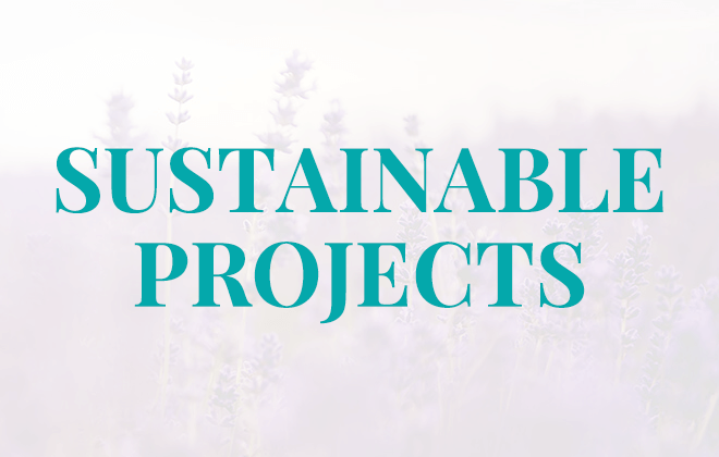 Harvest Hill Government Projects